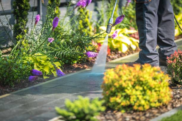 Trusted Auxvasse, MO  Pressure Washing Services Experts